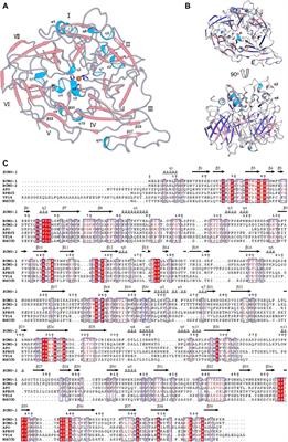 Structural and Functional Analysis of Nonheme Iron Enzymes BCMO-1 and BCMO-2 from Caenorhabditis elegans